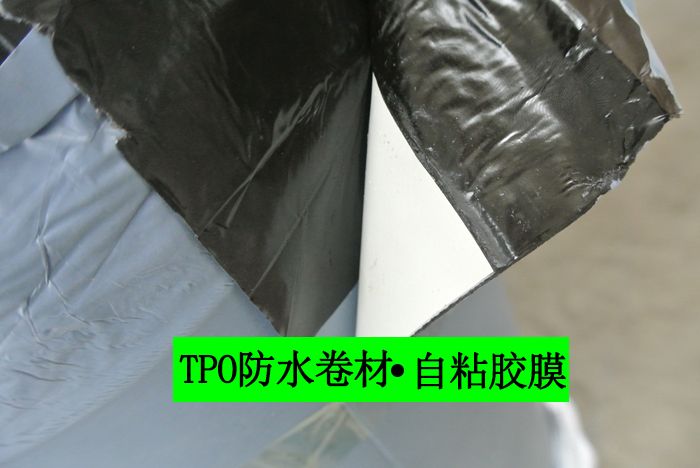 tpo高分子自粘胶膜防水卷材